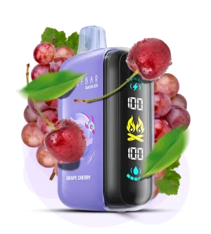Elfbar Raya D3 25000 puffs Disposable Vape | We Vape We Vape